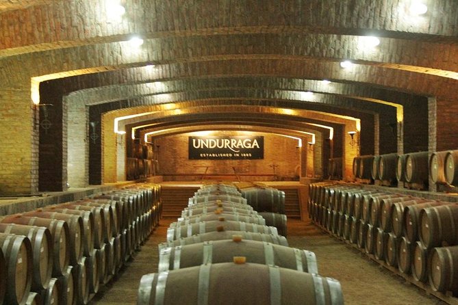 Traditional Undurraga tour - The 4-Wine Cata: How to Taste Like You Mean It
