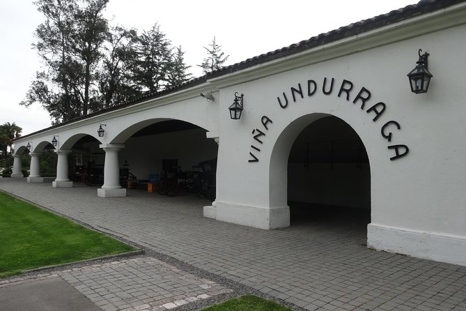 Traditional Undurraga tour - Vina Undurraga Winery and the Production Process in the Basements