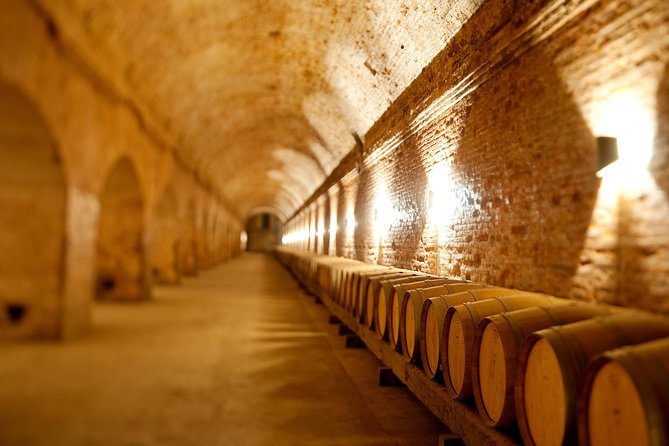 Traditional Wine Tour in Viña Cousiño Macul Official English - Key highlights at Viña Cousiño Macul (what’s worth your time)