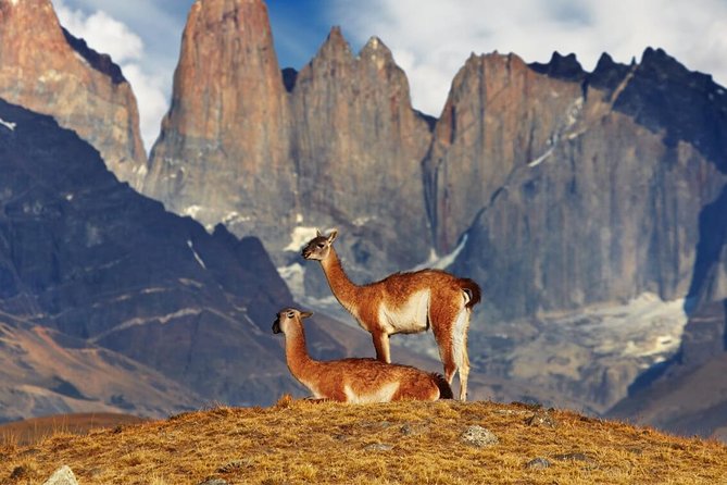 Trekking Base Torres Del Paine from Puerto Natales - Price and value: what you pay, what you still need to pay