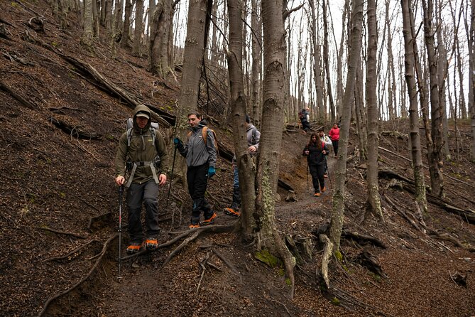 Trekking Base Torres sin almuerzo - Who Should Book This Base Torres Trek and Who Should Skip It