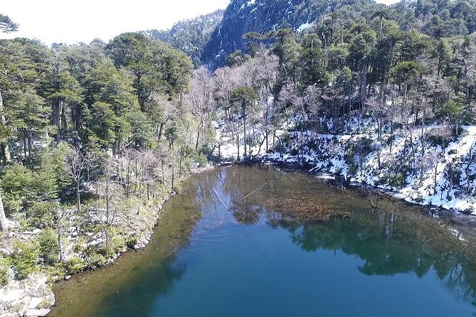 Trekking Huerquehue - Key Highlights You Should Know Before You Go