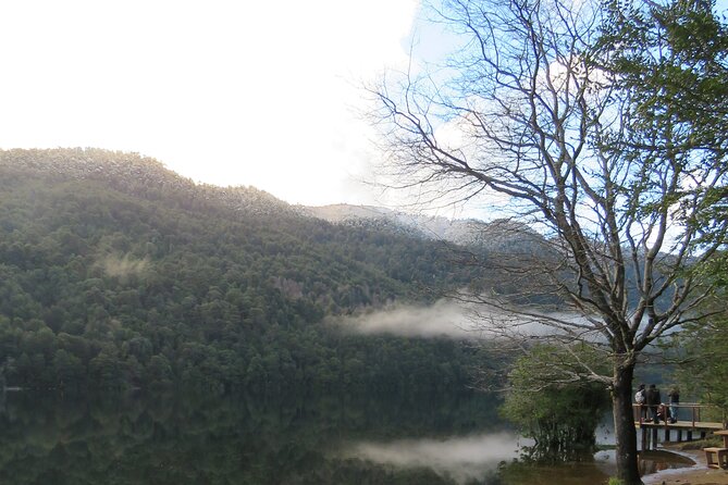 Trekking Huerquehue - Why Huerquehue Makes a Great Day Hike