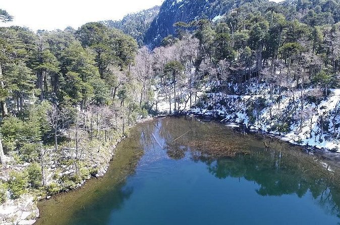 Trekking Huerquehue - Lakes You Can Actually See, Without Turning It Into a Photo Marathon