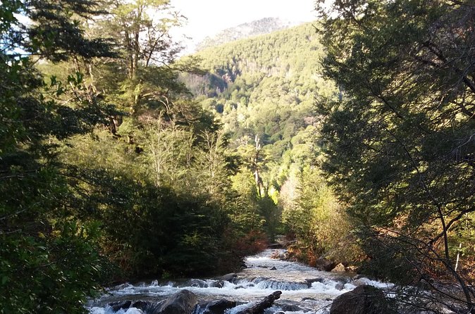 Trekking Huerquehue - The Guide Factor, Especially When Felipe Leads