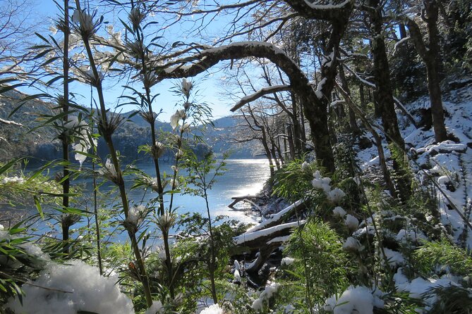 Trekking Huerquehue - Price and Value: Is $140 Fair for a 7-Hour Park Day?