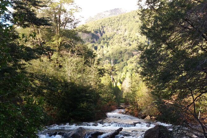 Trekking Huerquehue - What to Bring (Because Snacks and Portage Are Not Included)