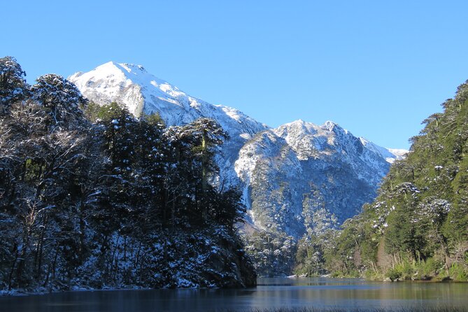 Trekking Huerquehue - The Trail Through Native Forest: Araucarias, Hualles, Lingues, and TePas