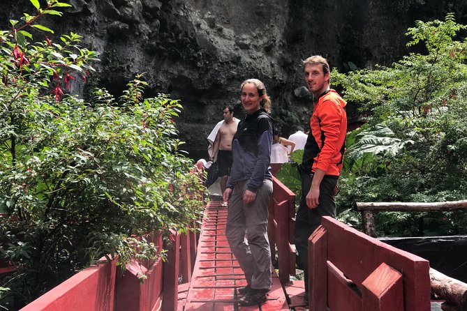 Trekking Mirador el volcano + Geometric hot springs - The Trek Details: Forest, Araucarias, Then More Open Volcano Territory