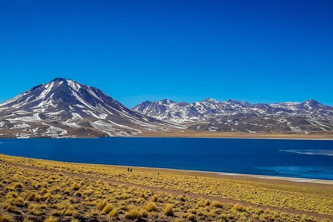 Triple Excursion: Red Stones, High Plains and Chaxa - Miscanti and Miñiques lagoons: trails, snow-capped peaks, and a real lunch break