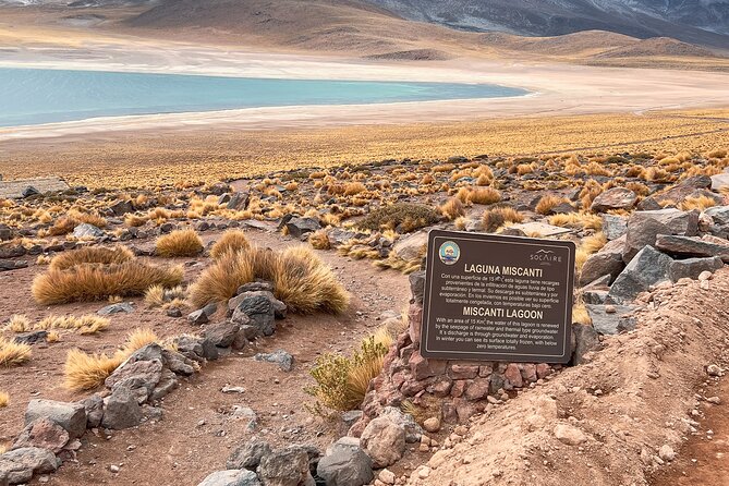 Triple Excursion: Red Stones, High Plains and Chaxa - Socaire: the cultural reset after big scenery