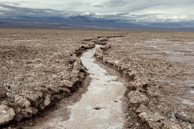 Triple Excursion: Red Stones, High Plains and Chaxa - Chaxa Lagoon and the salt-flat side of the route