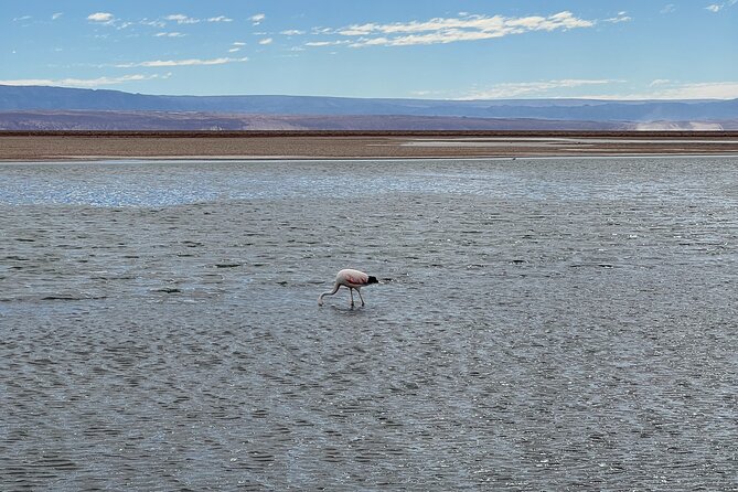 Triple Excursion: Red Stones, High Plains and Chaxa - What to bring so the day feels easy instead of annoying