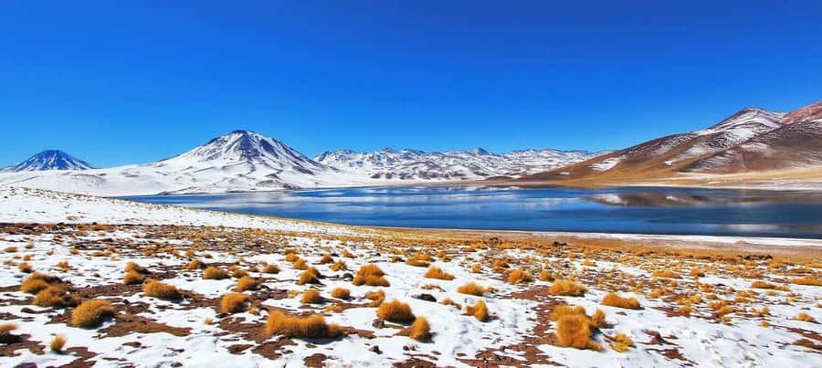 Triple tour: Red stones, highland lagoons and Chaxa Lagoon - Quick hits