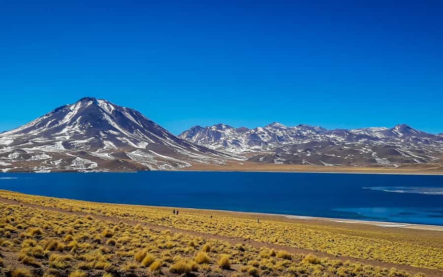 Triple tour: Red stones, highland lagoons and Chaxa Lagoon - Piedras Rojas: crimson rocks, wind, and an unforgettable guided walk