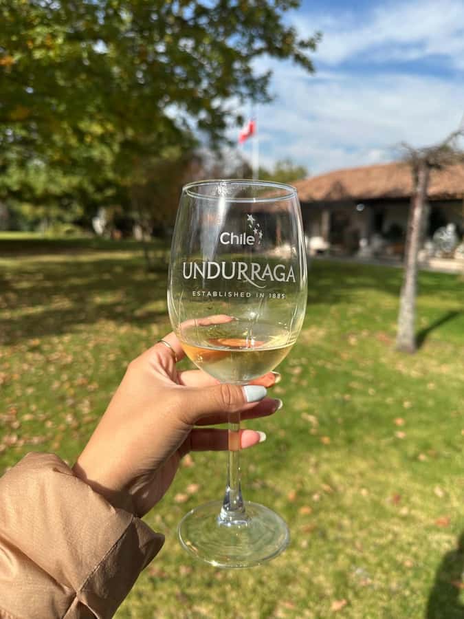 Undurraga + Isla Negra + San Afonso del Mar ----- Full day - Undurraga Winery, vineyard tour and the 3-wine tasting that sets the tone