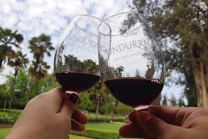 Undurraga Sibaris Tour Ticket - Price and value of a $37 guided tasting plus cellars