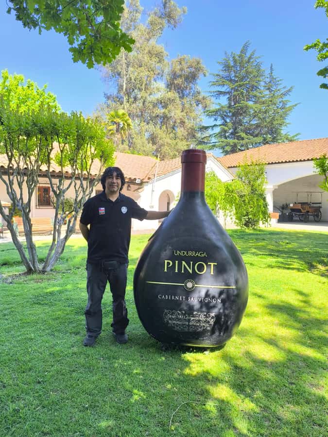 UNDURRAGA VINEYARD - Key highlights to know before you go