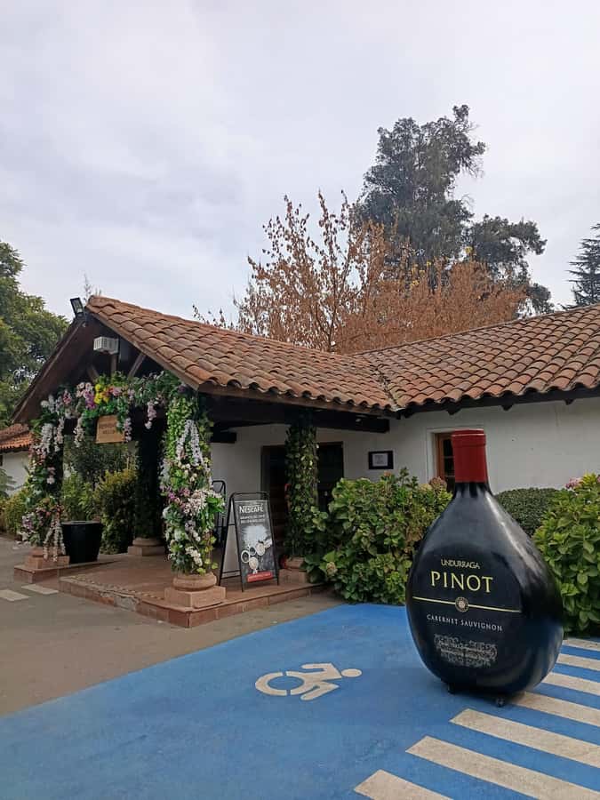 UNDURRAGA VINEYARD - Inside the Undurraga experience: guided tour, sightseeing, tastings