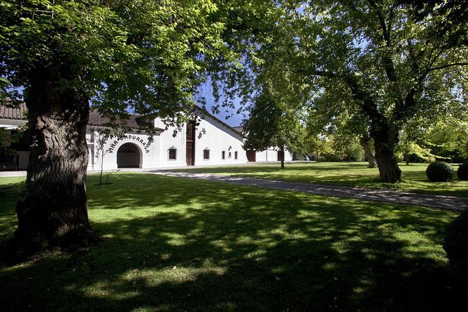 Undurraga Wine Tasting Tour from Santiago - Price and value at $75: when it is a smart buy