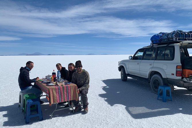 Uyuni Saltflat from San Pedro de Atacama ROUNDTRIP or ONE WAY to Uyuni - Day 2: Petrified Camel Rock, Vinto Lagoon, Sora Wetlands, and Julaca