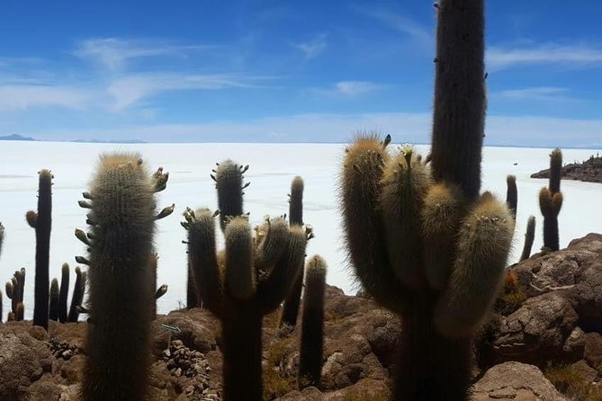 Uyuni Saltflat from San Pedro de Atacama ROUNDTRIP or ONE WAY to Uyuni - Price and Value: What $411.77 Buys (And What You Still Pay)