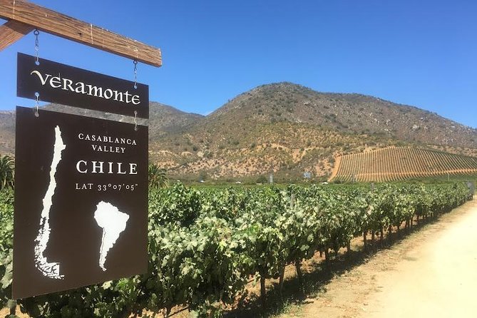 Valley of Casablanca - A Casablanca Valley Wine Day That Starts Early and Makes Sense