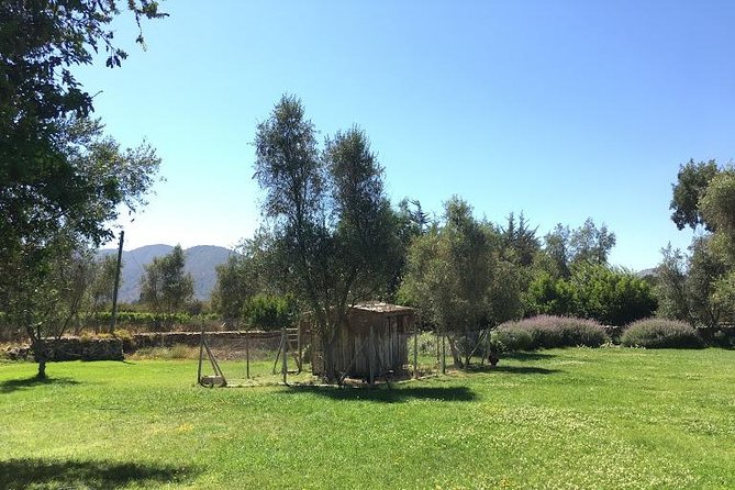 Valley of Casablanca - Pickup and the Private Tour Advantage in Santiago