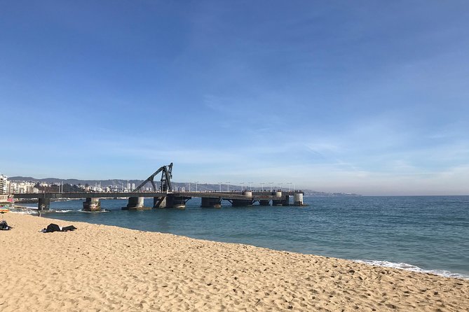 Valparaíso and Viña del Mar for 1 day - Price and Value for $65: What You Get, What You Don’t