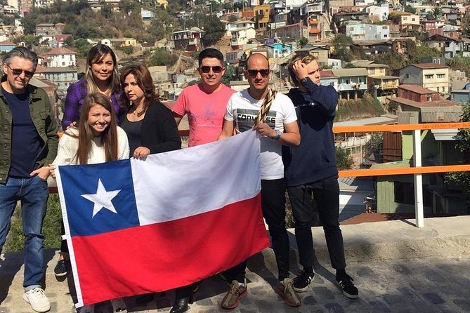 Valparaiso and Viña del Mar visit their Casas de Colores - The Curacaví and Millahue stops: chicha tastings and llamas on the route