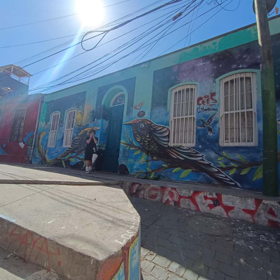 Valparaíso: city tour and ticket to the house of Pablo Neruda - Plaza stops and public transport moments: when the city feels most real