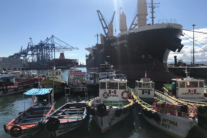 Valparaíso: Heritage, Art & Queer Culture Tour - From Santiago at 9:00 am to a full Valparaíso day