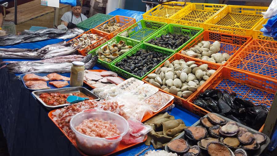 Valparaiso Port and Viña del Mar, Wine tasting in Casablanca - Key points worth knowing