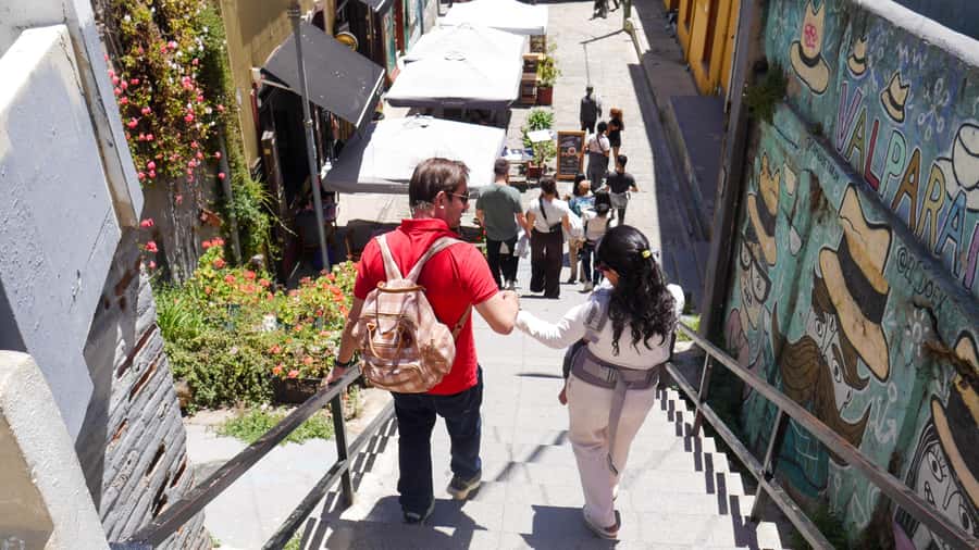Valparaiso Port and Viña del Mar, Wine tasting in Casablanca - Transport, comfort, and pacing you can actually feel