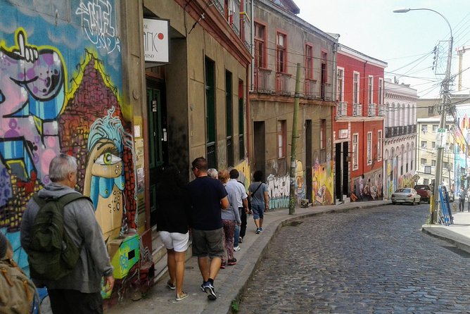 Valparaiso Private Tour with Wine Tasting from Santiago - Curacaví Valley first, then llama time and chicha