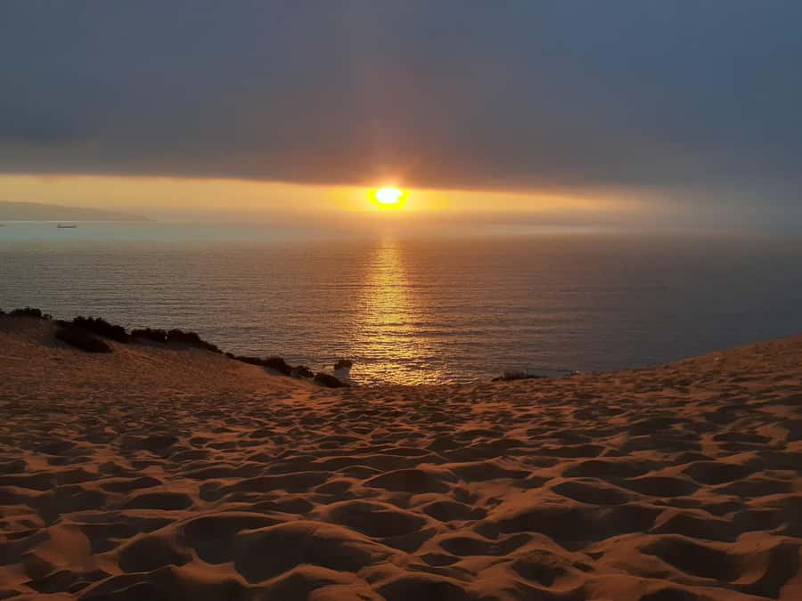Valparaíso: Sandboarding and Sunset in Concon Sand Dunes - Key highlights worth your attention