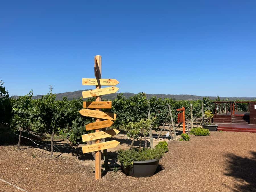 Valparaíso to Casablanca: wine tour with premium tasting and transportation - Why Casablanca Valley is a smart wine stop from Valparaíso