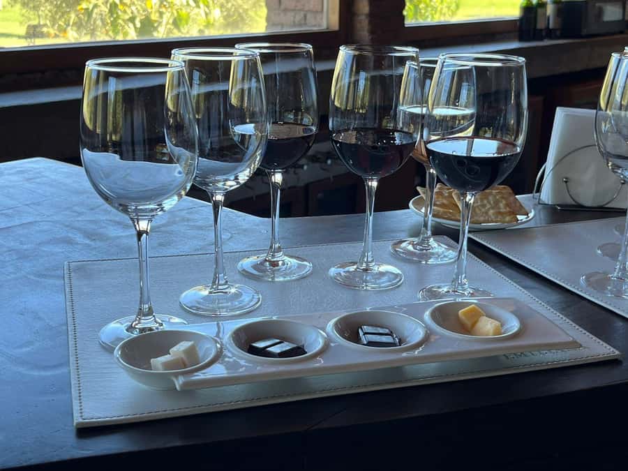 Valparaíso to Casablanca: wine tour with premium tasting and transportation - The vineyard tour part that actually helps your tasting