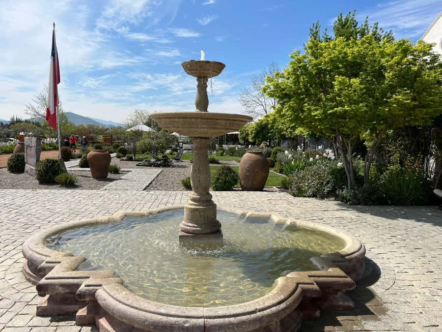 Valparaíso to Casablanca: wine tour with premium tasting and transportation - Small group energy, English and Spanish guidance, and vineyard choice