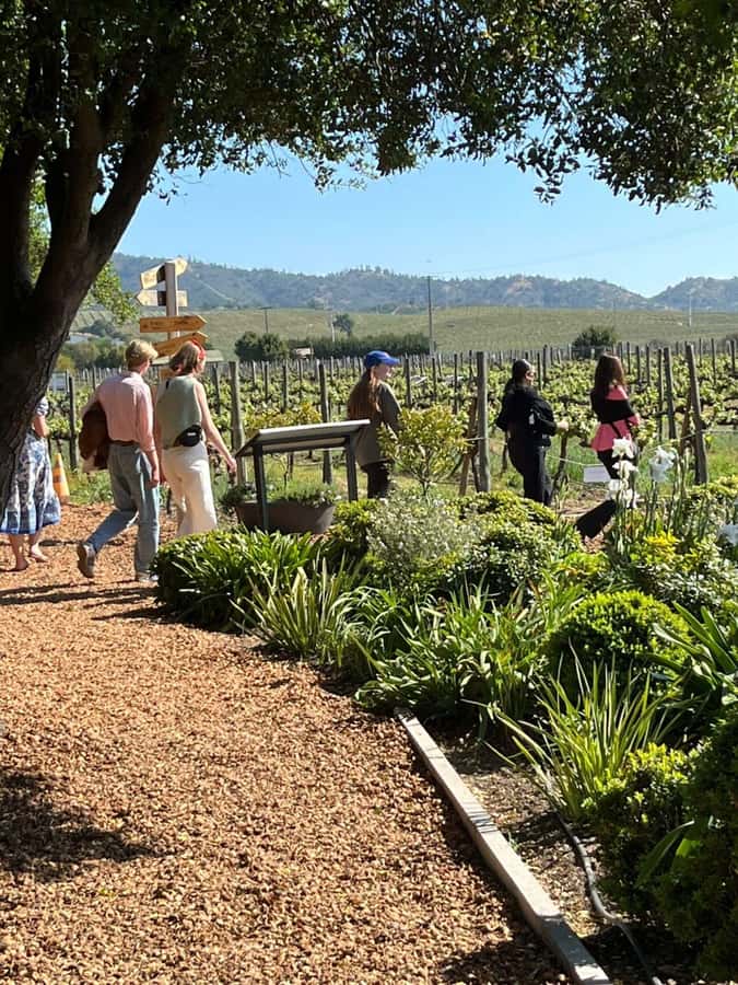 Valparaíso to Casablanca: wine tour with premium tasting and transportation - Price and logistics: is $127 a good deal?