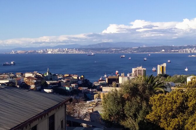 Valparaíso Viña & Casablanca Day Trip from Santiago (Max 7) - A One-Day Route That Gets You the Best Stops Without a Rental Car