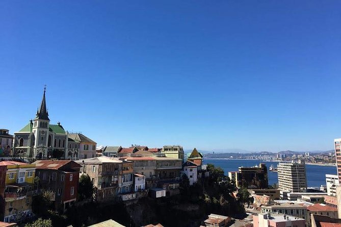 Valparaíso + Viña del Mar - Casa Blanca Valley at Supermercado del Vino: a quick tasting you can actually enjoy