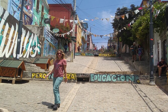 Valparaiso Walking tour from Santiago - Key Highlights You’ll Actually Feel on the Day