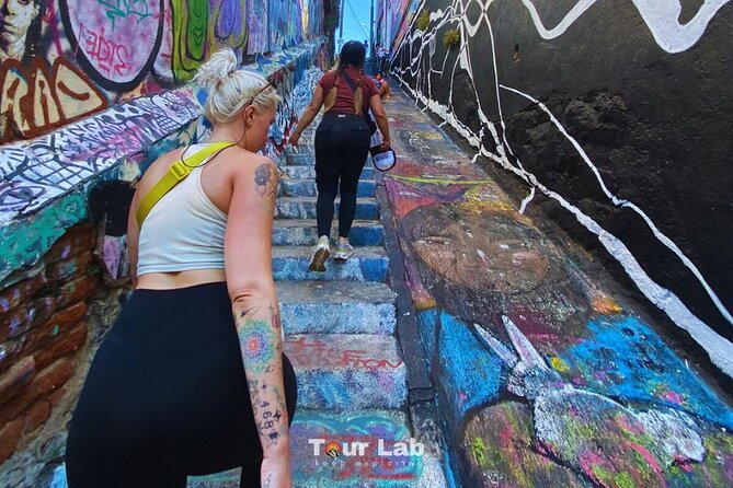 Valparaíso & Wine Tasting - Art, Culture & 5 Premium Wines - Key Highlights You’ll Actually Feel