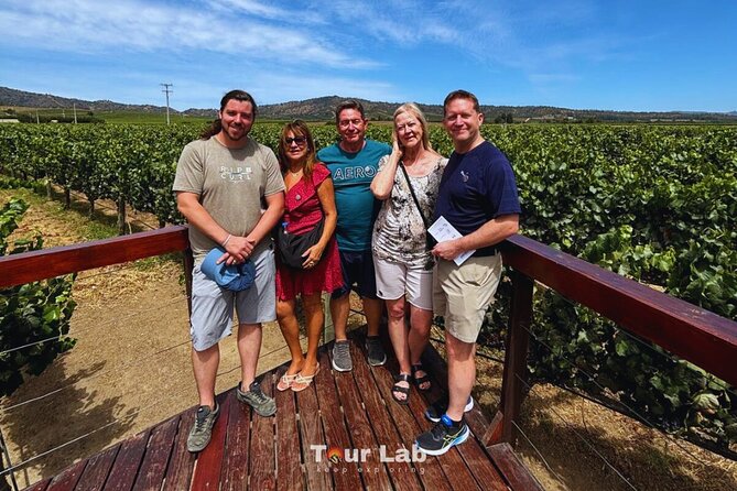 Valparaíso & Wine Tasting - Art, Culture & 5 Premium Wines - Casas del Bosque in Casablanca Valley: Vine Walk, Winemaking Look, Five Premium Wines