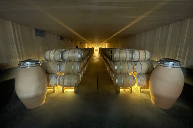 VIK Private Tour Millahue Valley Experience - Stop 2 at Vina Casa Silva: A Century-Old Vineyard and a Lunch Choice