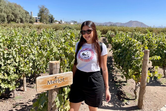 Viña Concha and Toro Tour (half day) - Service quality and language clarity: What I’d watch for before you go