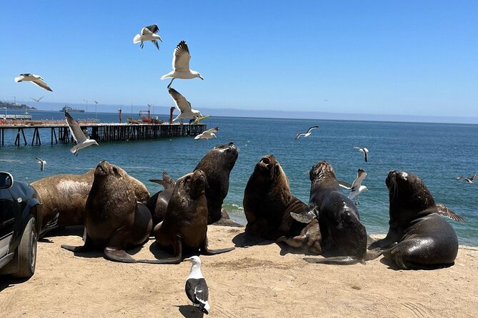 Viña del Mar and Valparaíso - A day that feels like two coastal moods