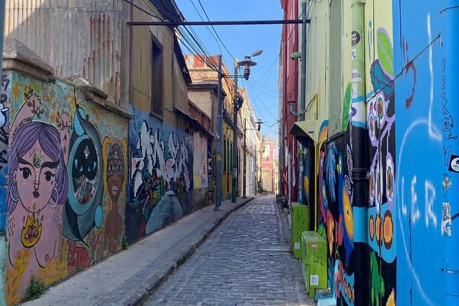 Viña del Mar and Valparaíso - Why the guide experience can make or break the day