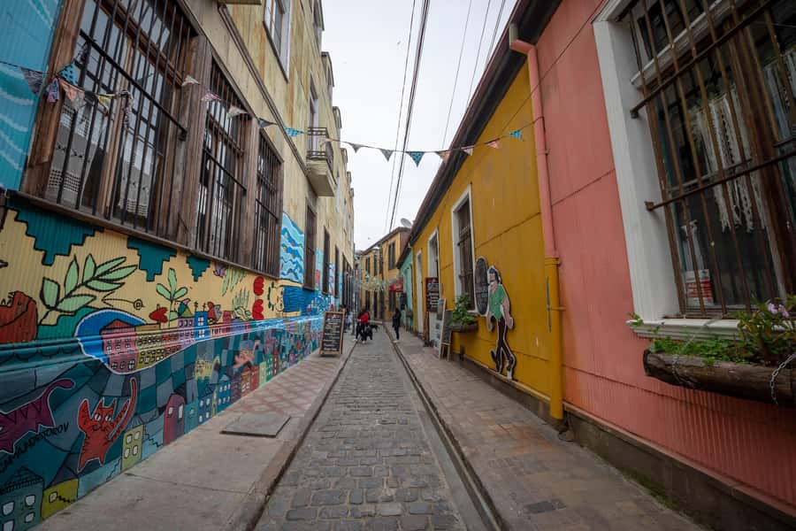 Viña del Mar and Valparaiso: guided day tour - Casablanca Valley Stop: Photo Views, Wine Store, and a Break You Should Plan For